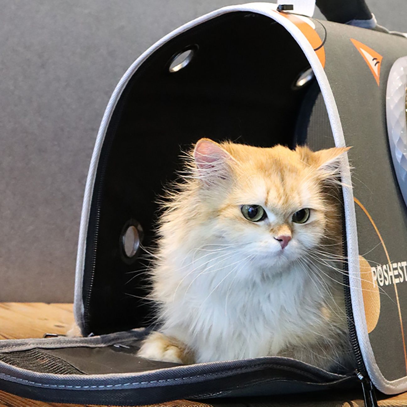 ペット キャリー 猫用宇宙窓付きお出かけキャリー