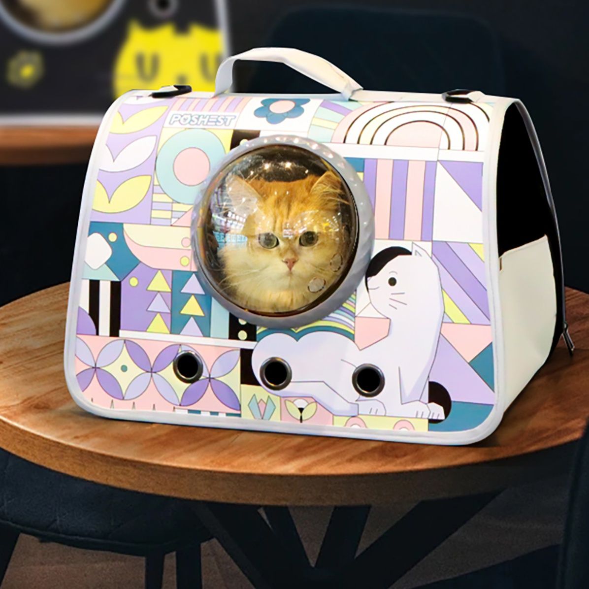 ペット キャリー 猫用宇宙窓付きお出かけキャリー