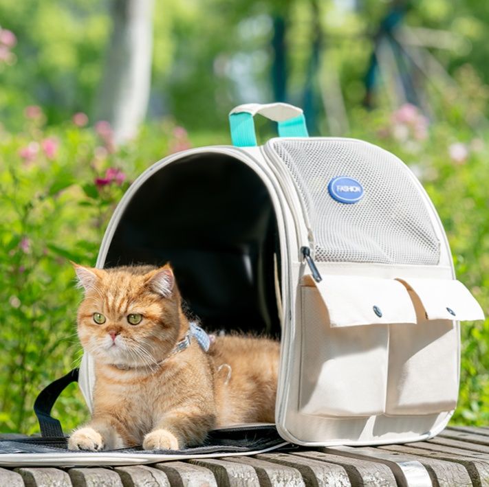 ペット キャリー 猫用通気性抜群 お出かけリュック