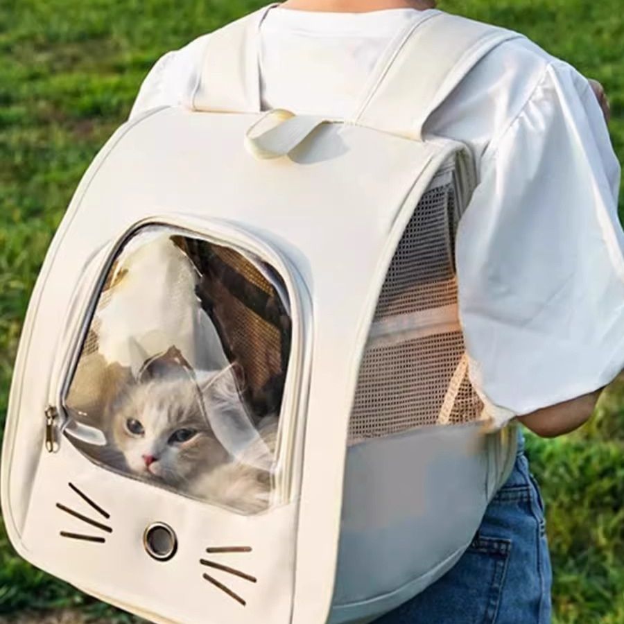 https://fulmo-img-server.com/pettokyarii/1755678201680_j38hfnu2_dxvo6dox.jpeg