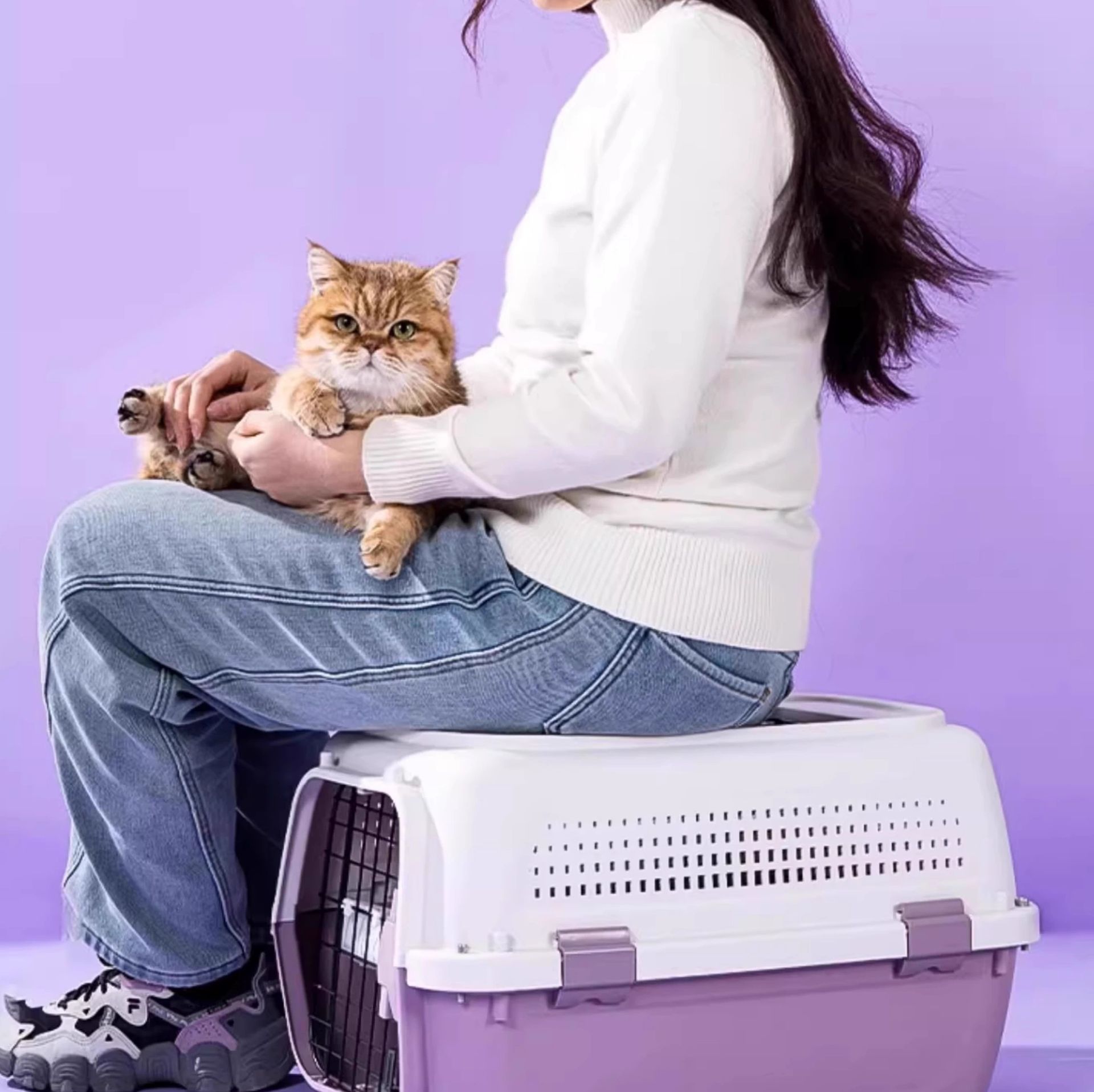 https://fulmo-img-server.com/pettokyarii/1755682180678_t7gd9mzr_369kqnqw.jpeg