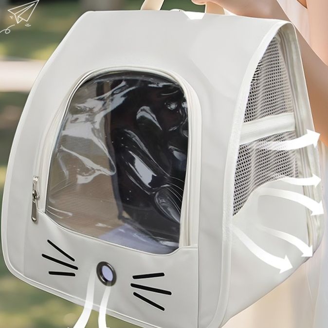 https://fulmo-img-server.com/pettokyarii/1755683602481_wowypew5_9l4ucwuu.jpeg