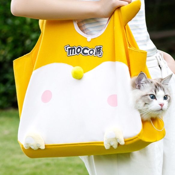 https://fulmo-img-server.com/pettokyarii/1755683647330_xv9j0i6s_crgqiya6.jpeg