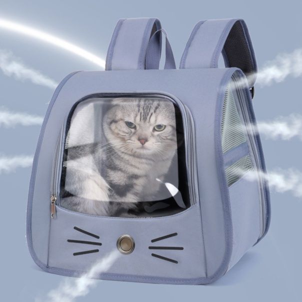 https://fulmo-img-server.com/pettokyarii/1755685896476_m7n6ads8_pptxpun2.jpeg