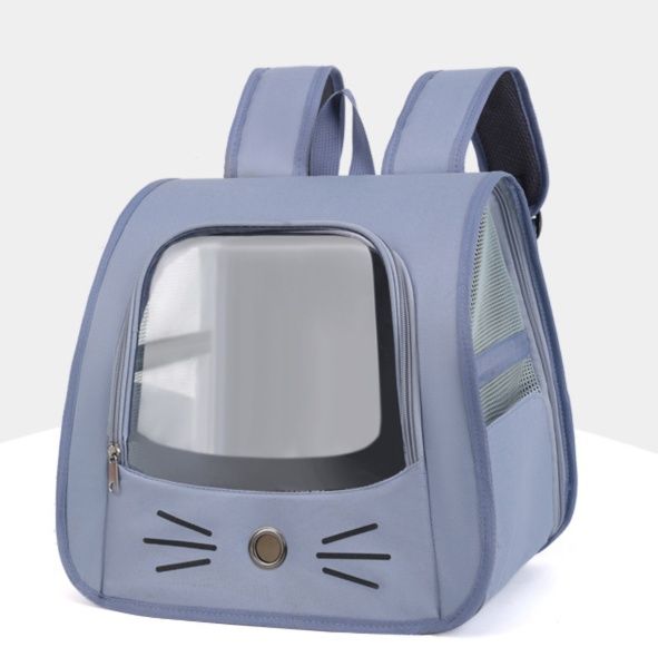 https://fulmo-img-server.com/pettokyarii/1755685916692_518g9opl_x7ykv0bg.jpeg