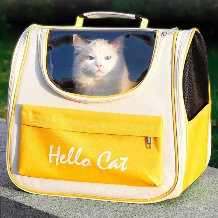 https://fulmo-img-server.com/pettokyarii/1755686331299_h0wu0bvd_1c15kda1.jpeg