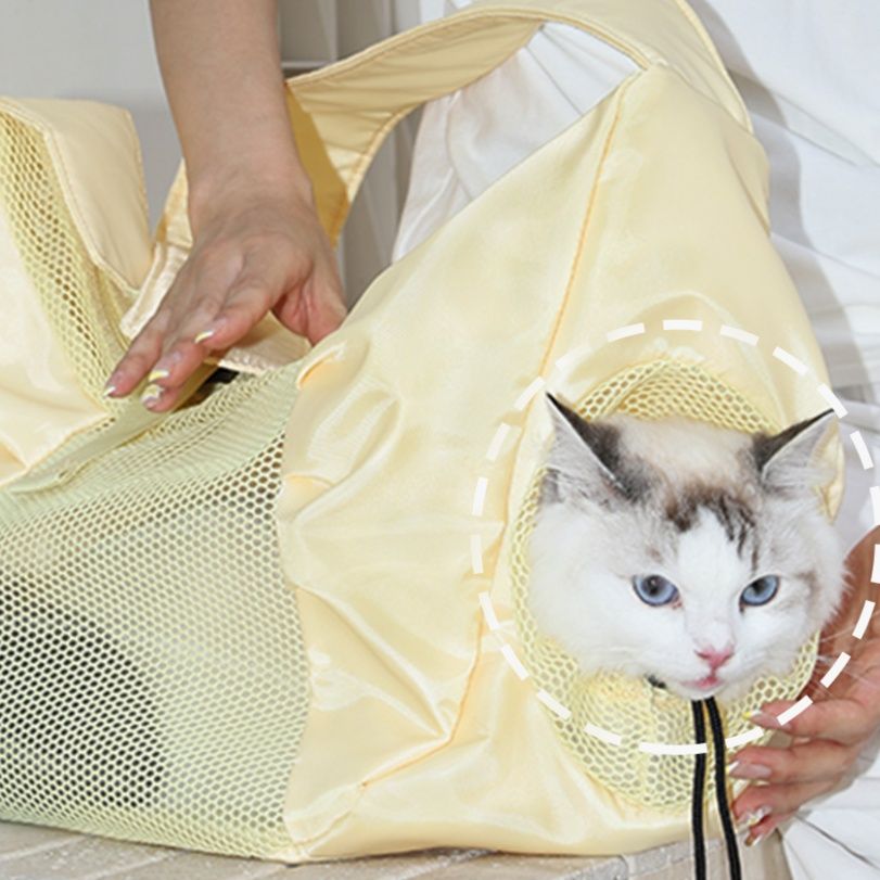 https://fulmo-img-server.com/pettokyarii/1755687110948_3d7hqb5k_94iz33w3.jpeg