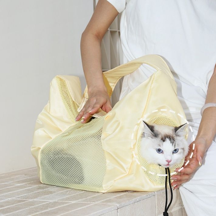 https://fulmo-img-server.com/pettokyarii/1755687169467_49kbortm_mchf7ds5.jpeg