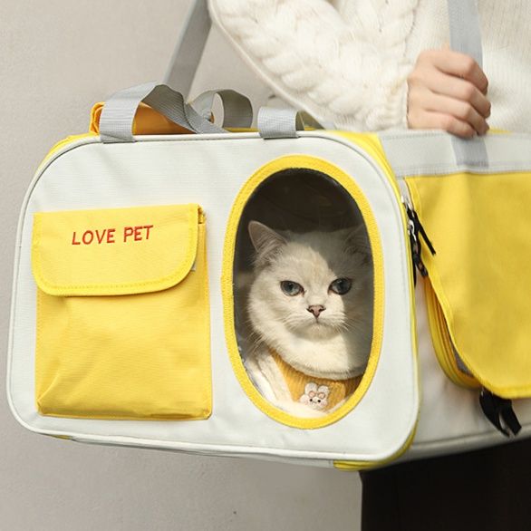 https://fulmo-img-server.com/pettokyarii/1755922350996_80io5kbq_efhv393n.jpeg
