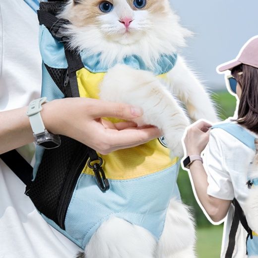 https://fulmo-img-server.com/pettokyarii/1757582070538_5jzkybo8_de9bi3yh.jpeg