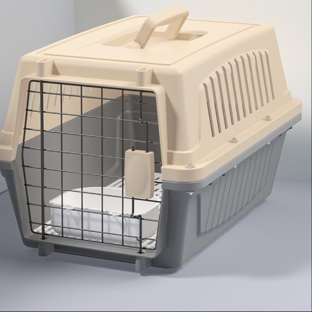 https://fulmo-img-server.com/pettokyarii/1757743817065_v4vslud7_pzs70yx9.jpeg