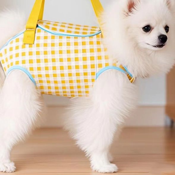 https://fulmo-img-server.com/pettokyarii/1757744589574_kou6zcel_g7yeorpg.jpeg