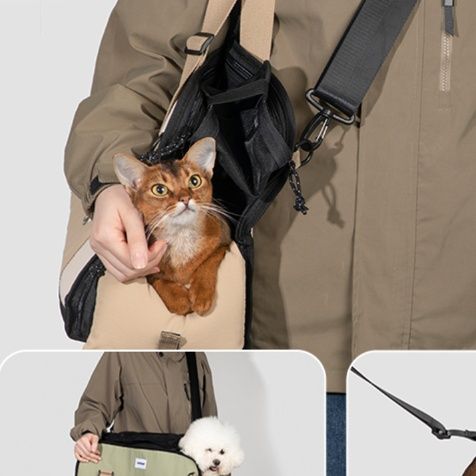 https://fulmo-img-server.com/pettokyarii/1757744918617_eo0yo498_nc2fva2f.jpeg