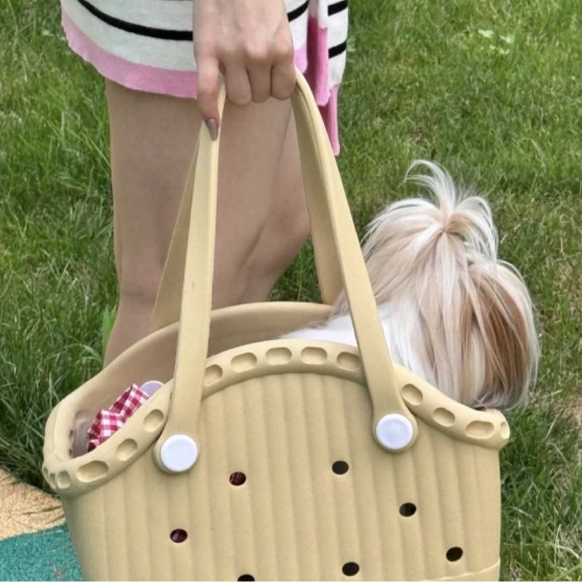 毎日のお出かけが楽しみになる！猫を入れるバック5選