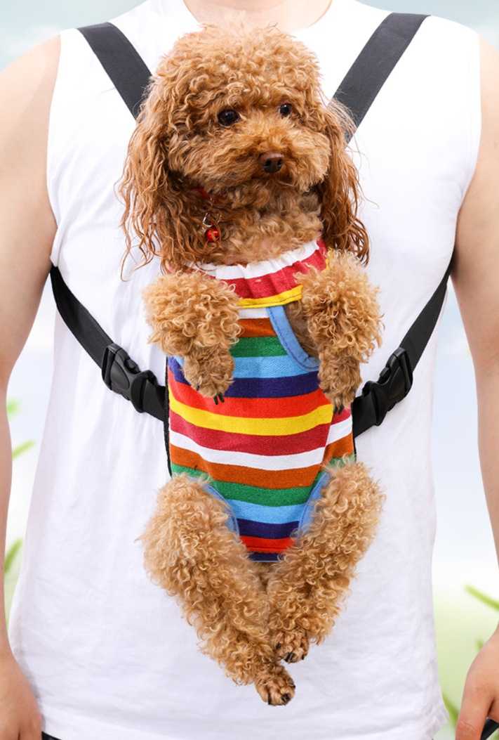 両手フリーで愛犬とどこへでも！快適な犬用抱っこリュックおすすめ5選