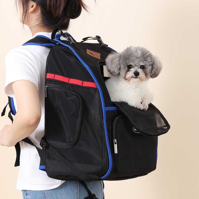 愛犬との思い出作りがもっと楽しくなる！かわいい犬用リュック5選