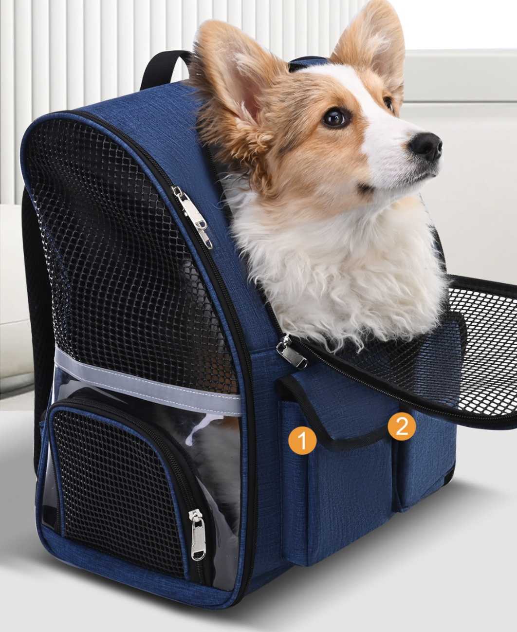 愛犬との思い出作りが楽しくなる！犬用リュックサックで両手フリーの快適移動5選