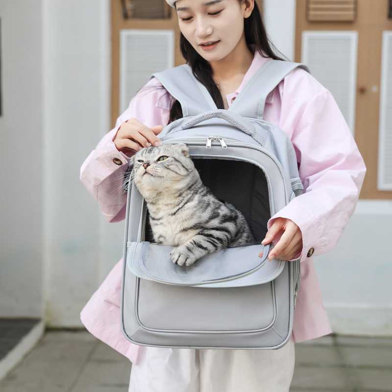 猫用リュックサックで愛猫との思い出作りがもっと特別になる！両手フリーで快適移動5選