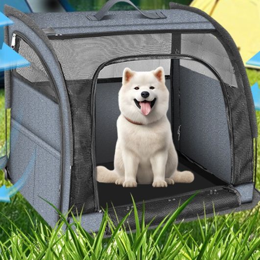 https://fulmo-img-server.com/pettokyarii/1761032268227_v8punsol_xkr1jy1s.jpeg