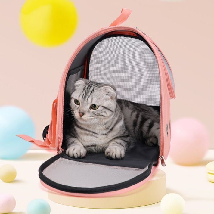 https://fulmo-img-server.com/pettokyarii/1761043964734_xudxjidh_2b67fglf.jpeg