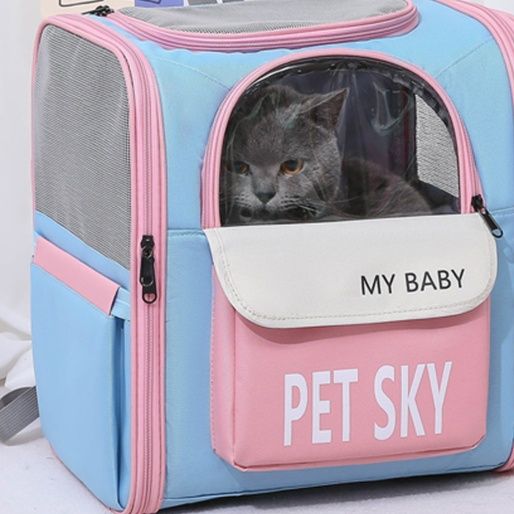 https://fulmo-img-server.com/pettokyarii/1761053477083_vch2sb4u_jnvfj6rh.jpeg