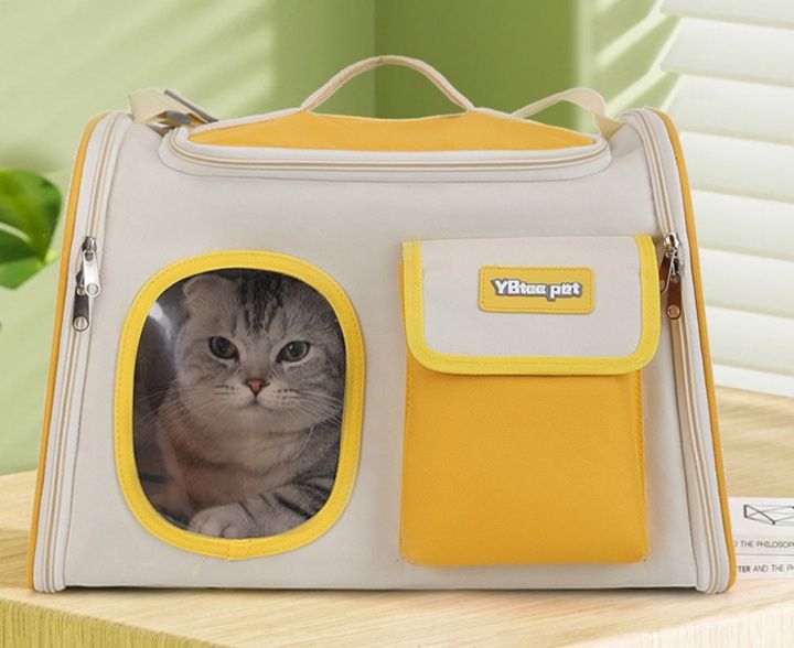 https://fulmo-img-server.com/pettokyarii/1761102668521_q8yv8ssc_h1qbd1v3.jpeg