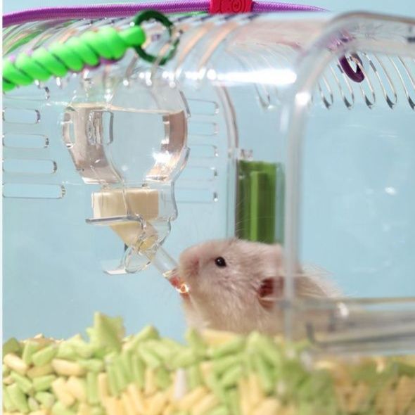 ペットキャリーハムスター透明二階建てハムスター用お出かけキャリーケース