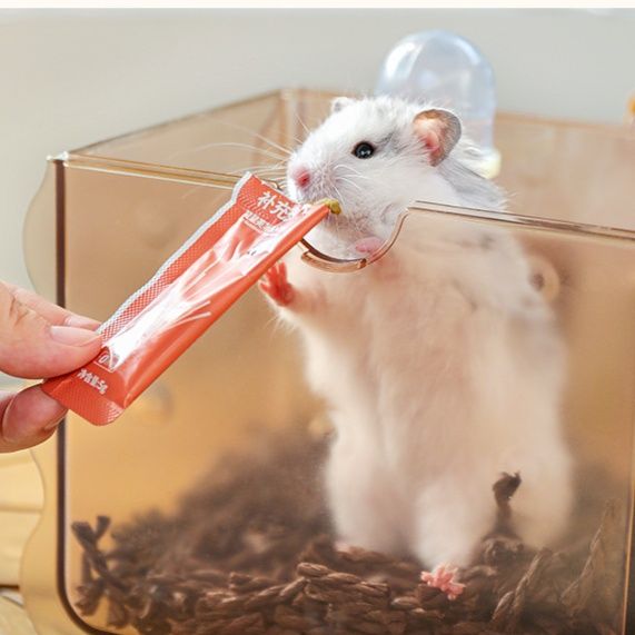 ペット キャリー ハムスター透明ビスケット型ハムスター用持ち運びキャリーケース