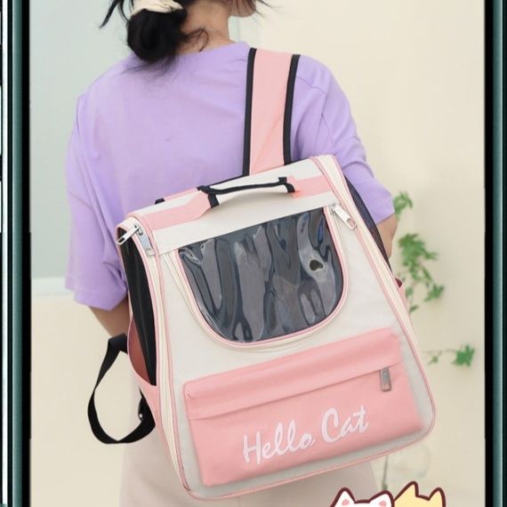 https://fulmo-img-server.com/pettokyarii/1778299899335_lrcgxvgb_1r56j19d.jpeg