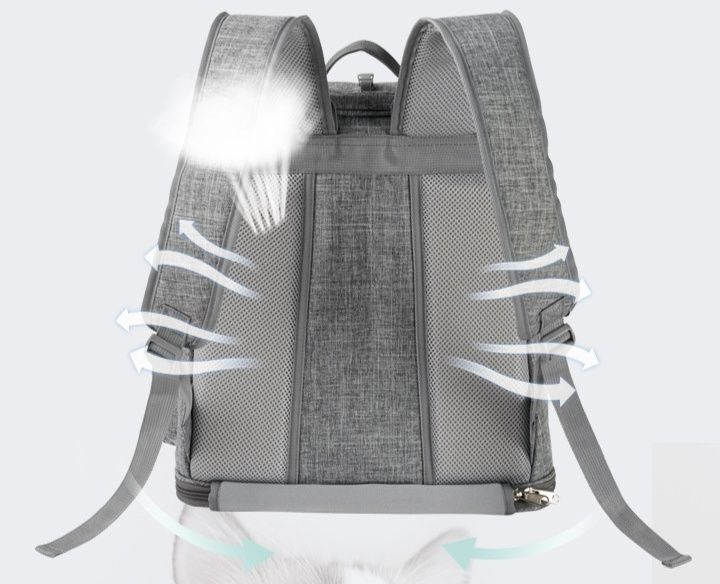 https://fulmo-img-server.com/pettokyarii/1781313610639_j262zq7r_e3vgyc8v.jpeg