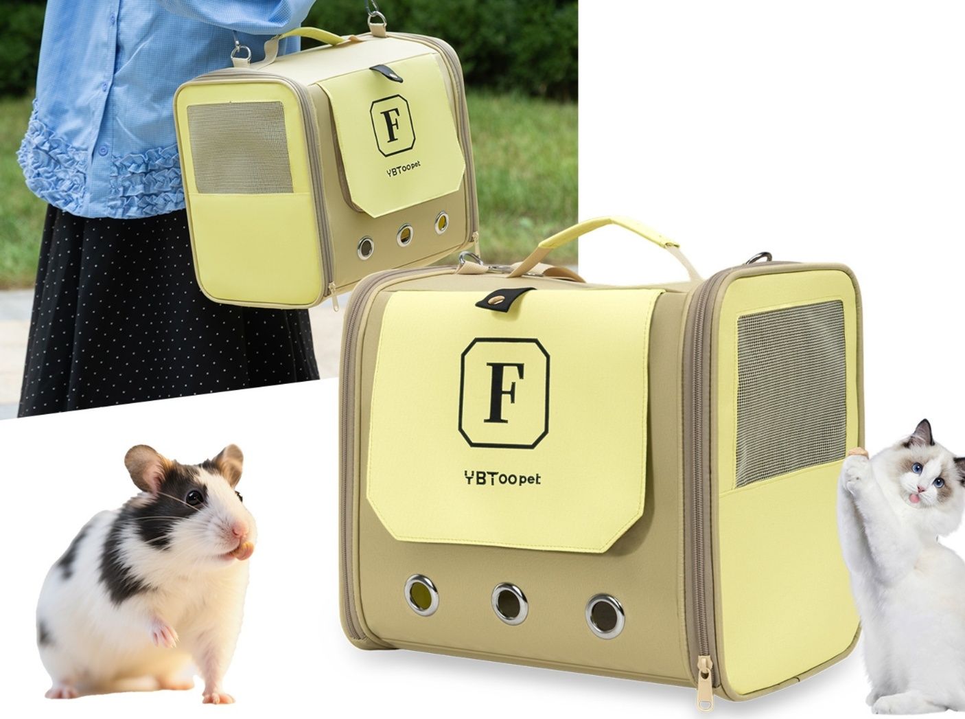 https://fulmo-img-server.com/pettokyarii/1792031992871_8g2480pd_95qa06ip.jpeg