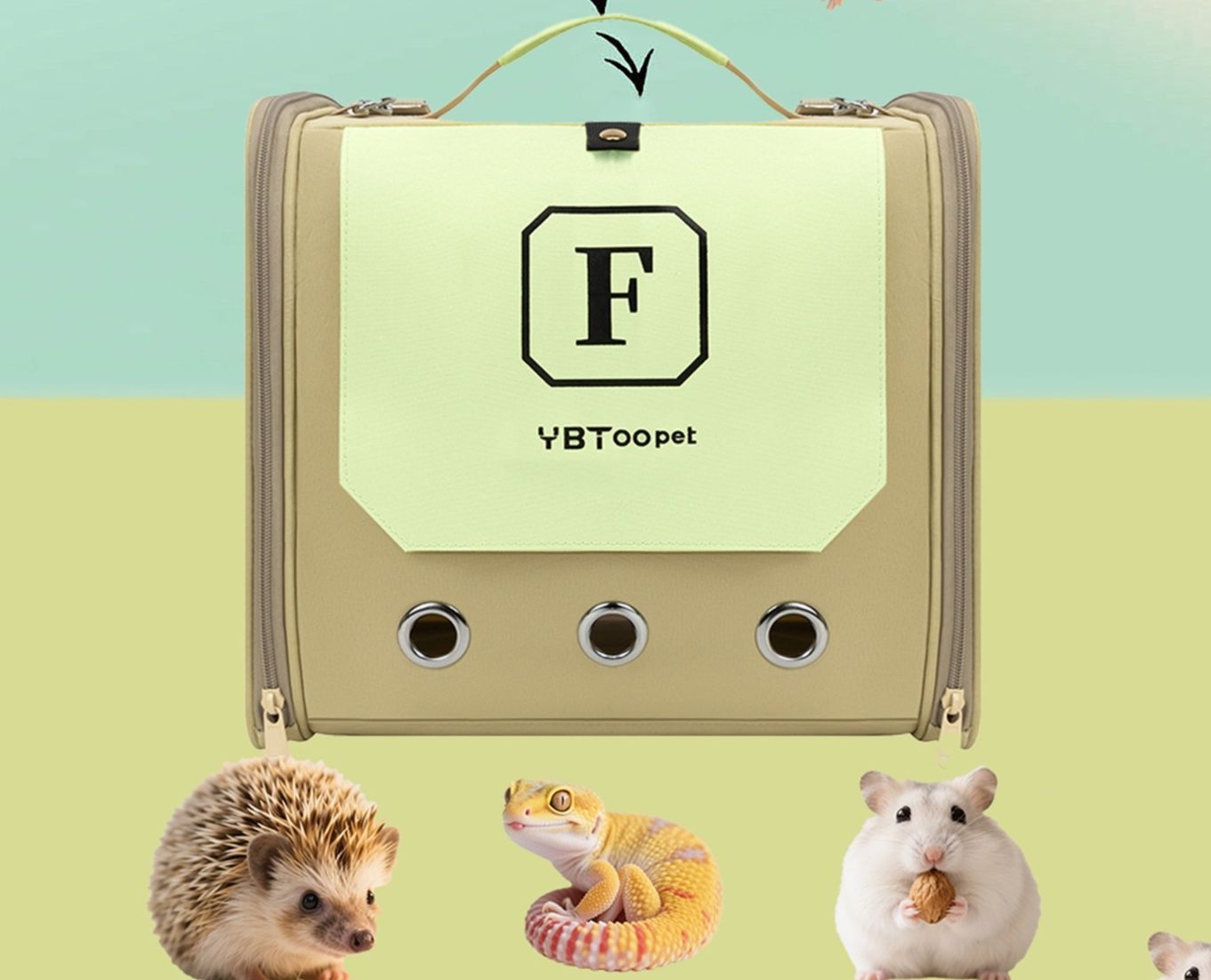 https://fulmo-img-server.com/pettokyarii/1792032042507_kktfj5b7_wp6crl7d.jpeg