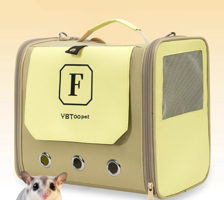 https://fulmo-img-server.com/pettokyarii/1792032076561_ub5bq2qr_imllfzvj.jpeg