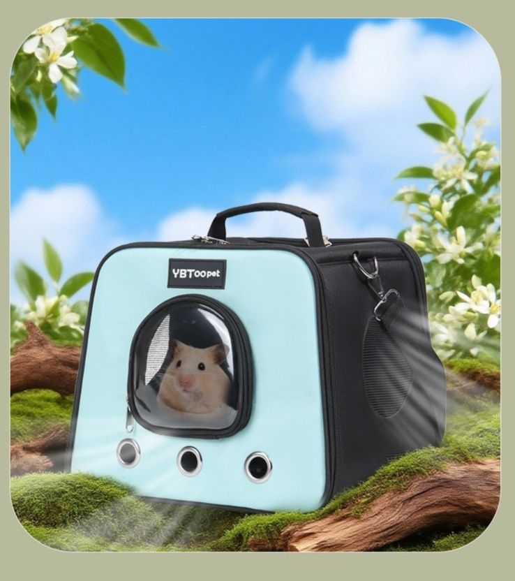 https://fulmo-img-server.com/pettokyarii/1792032481874_1bzkm1gl_3q3qkhy5.jpeg