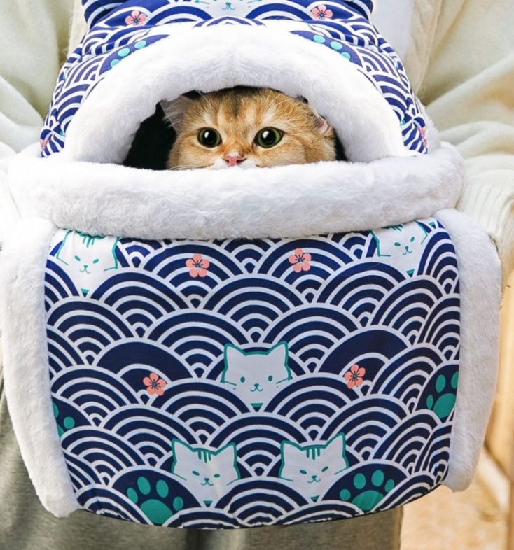 https://fulmo-img-server.com/pettokyarii/1792033516207_yf2kb0cu_bropi9s9.jpeg