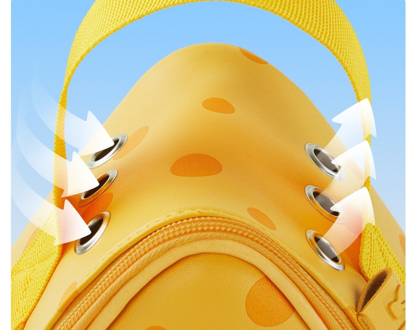https://fulmo-img-server.com/pettokyarii/1792037691761_6tb7b4aq_utpjcwlx.jpeg