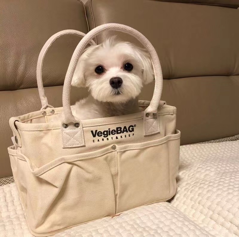 ペット キャリー やわらか帆布の小型犬お出かけバッグ
