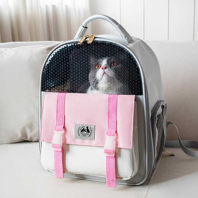 https://fulmo-img-server.com/pettokyarii/2d7952cd-205e-4b61-bdc7-81b28b7f7fe2.jpg