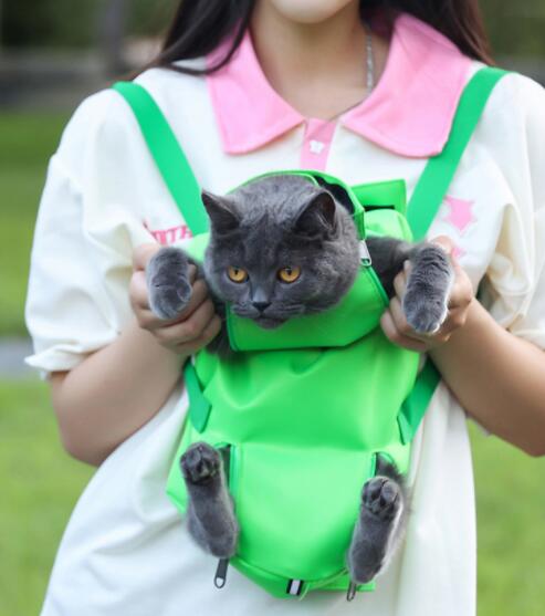 https://fulmo-img-server.com/pettokyarii/396896bf-c83e-4740-8197-80bb73278c8d.jpg