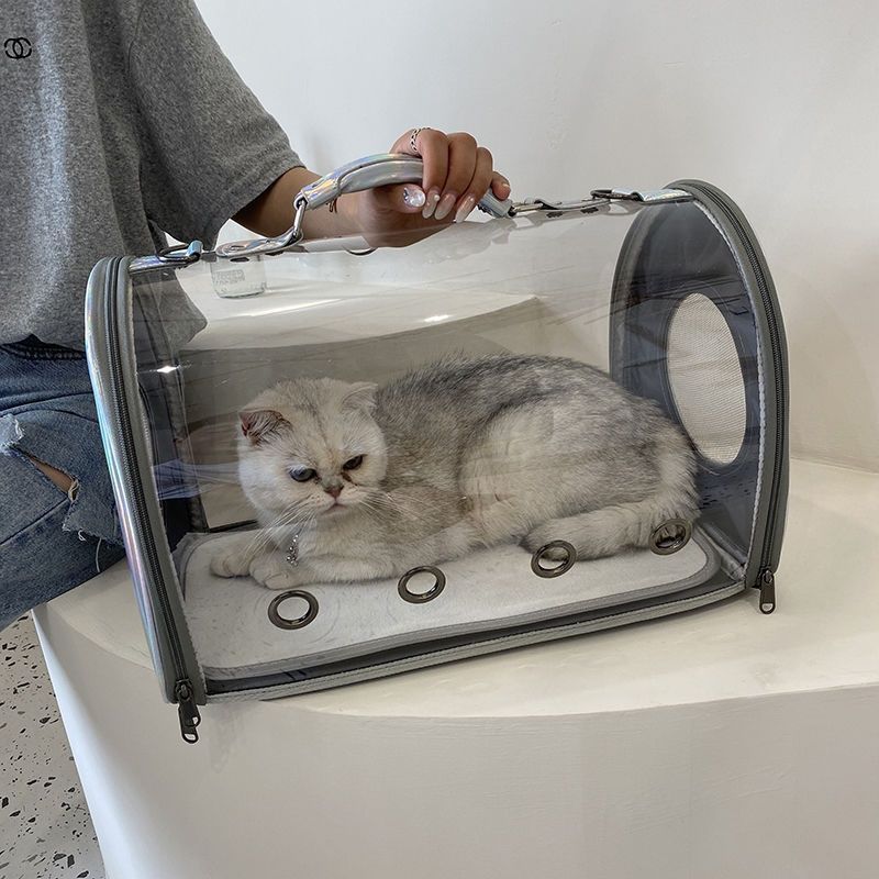 ペット キャリー 猫用パノラマ宇宙キャリー