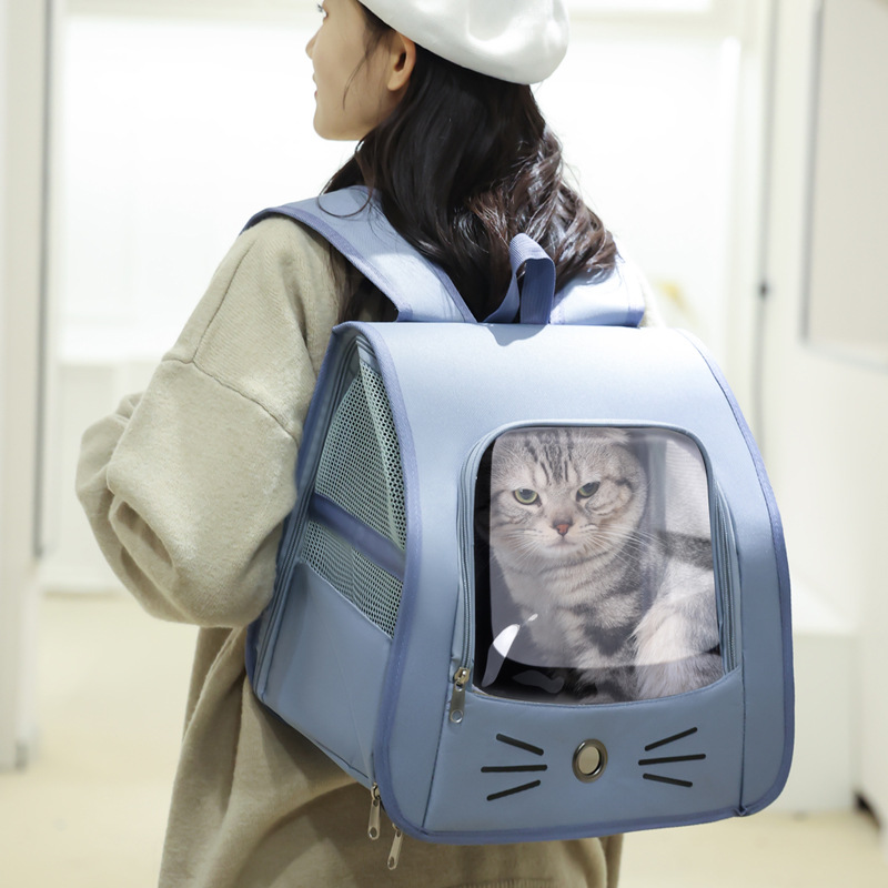 https://fulmo-img-server.com/pettokyarii/53ccadb6-269e-43ef-b2b8-cfe3e40550a5.jpg
