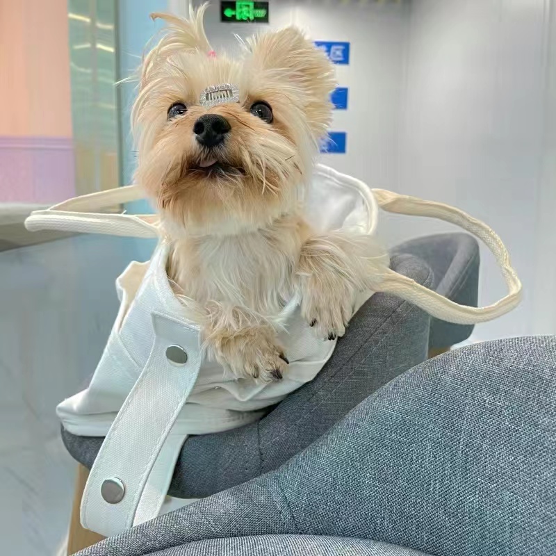 ペット キャリー やわらか帆布の小型犬お出かけバッグ