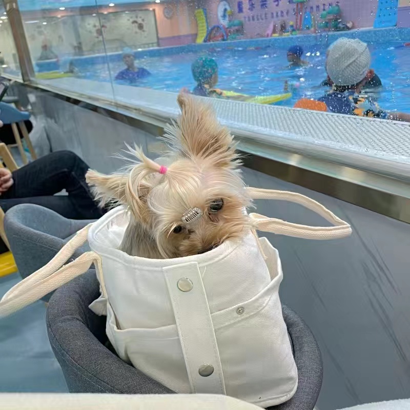 ペット キャリー やわらか帆布の小型犬お出かけバッグ