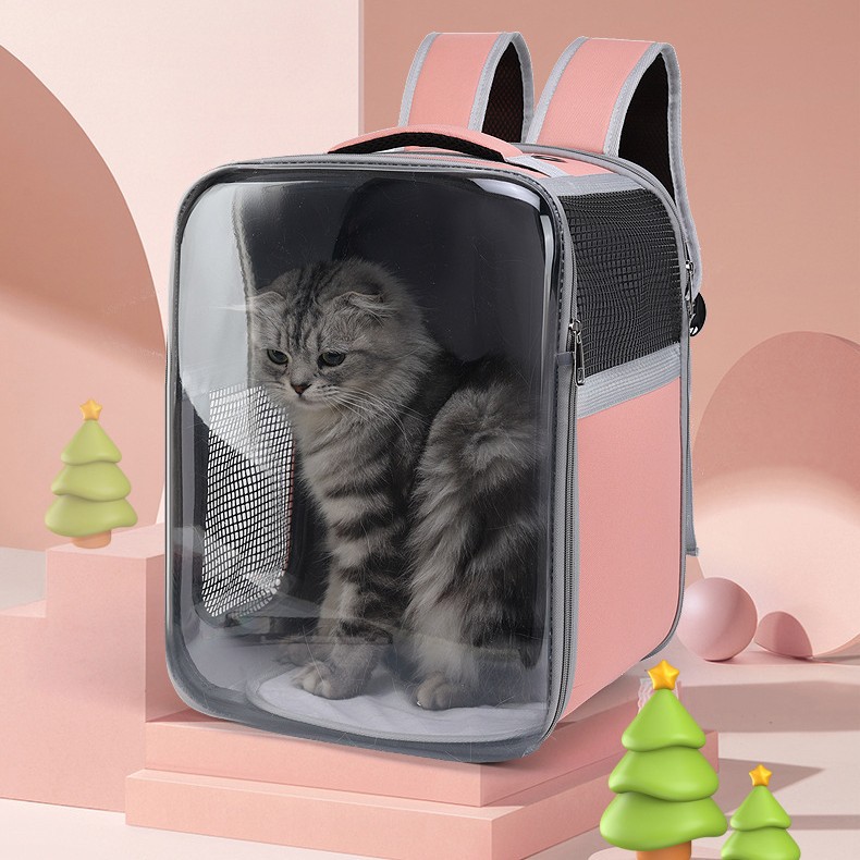 https://fulmo-img-server.com/pettokyarii/9ff54333-55bb-4ab2-9ad0-b1085b063d68.jpg