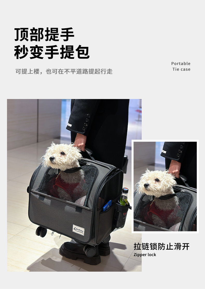 https://fulmo-img-server.com/pettokyarii/aacd2cbc-4ce9-4b5f-9a76-746400fd3af8.jpg