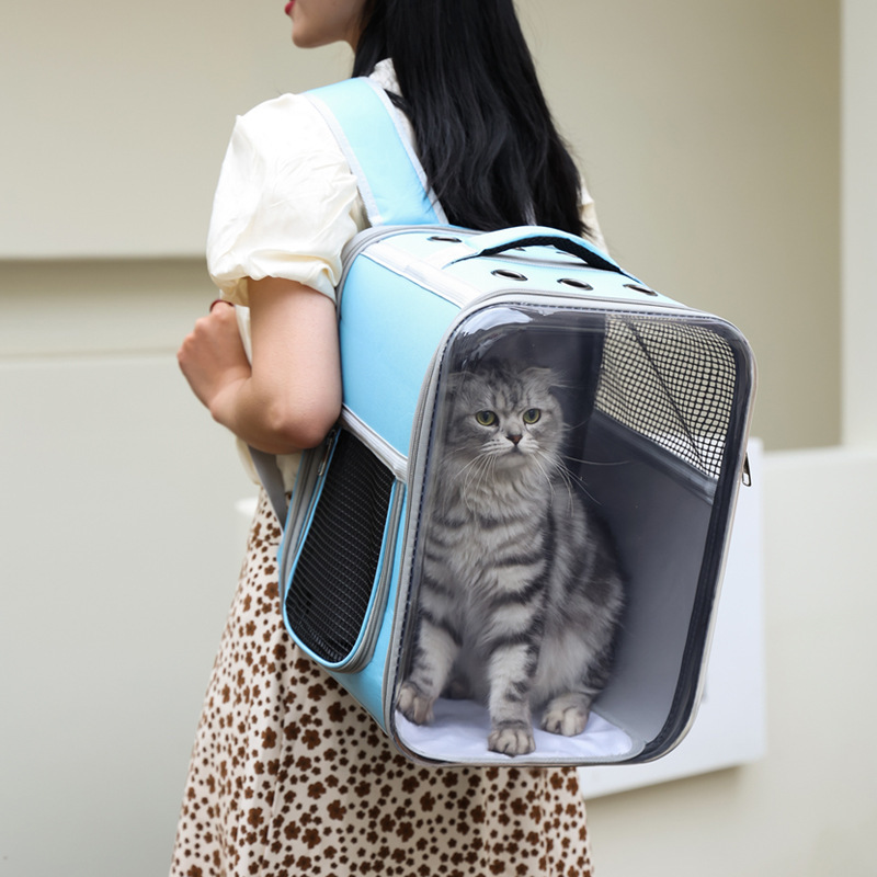 https://fulmo-img-server.com/pettokyarii/bb221cde-1742-48fc-bd75-b318cc48a08d.jpg