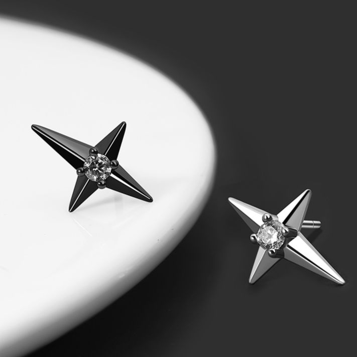 ピアスメンズ 星光交差ピアス