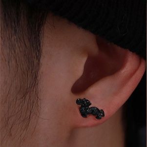 ピアスメンズ 福を招く幸運の神獣ピアス