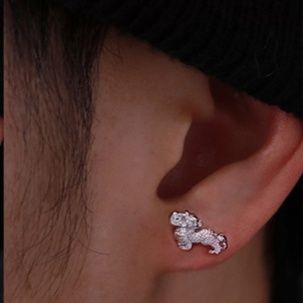 ピアスメンズ 福を招く幸運の神獣ピアス