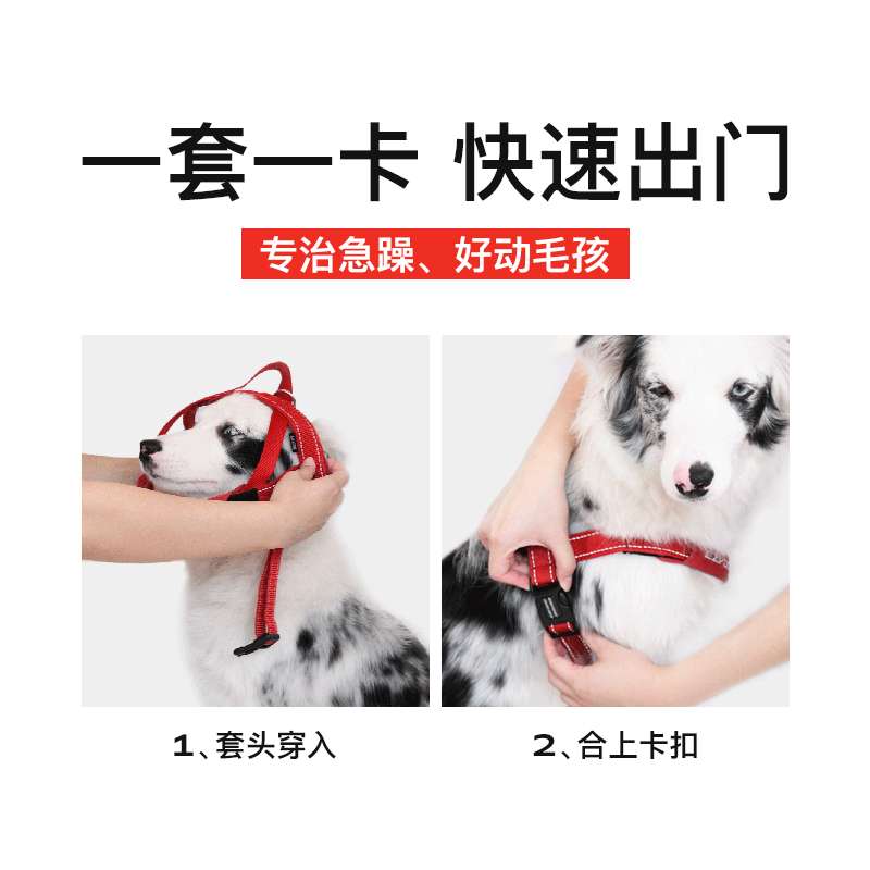 ハーネス